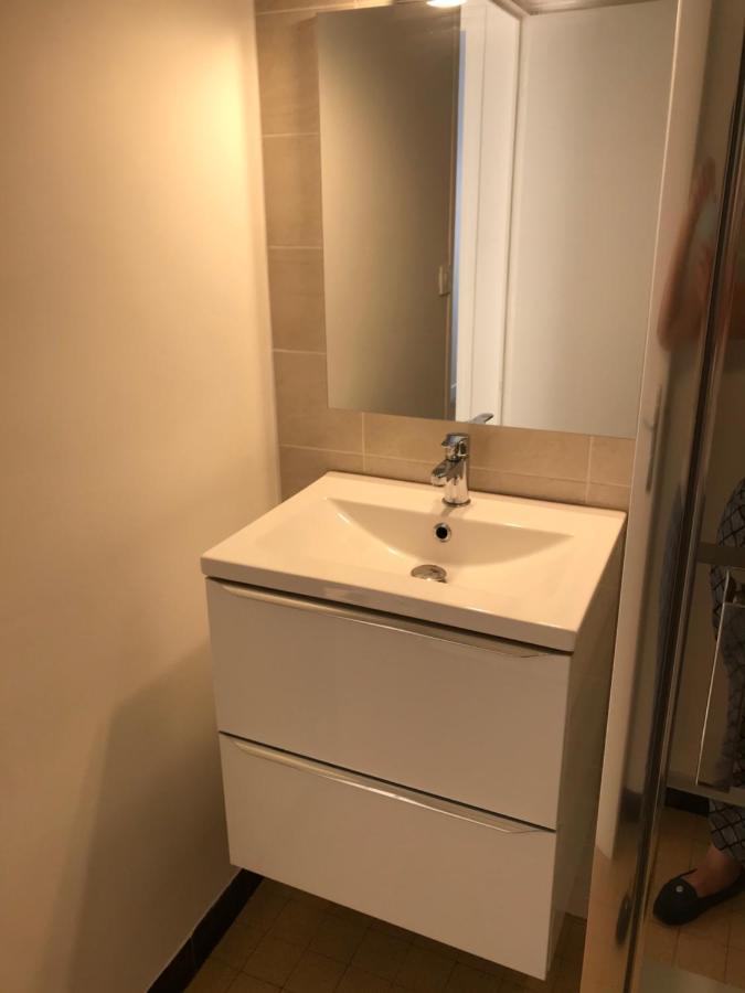 Grenoble Joli Appartement Dış mekan fotoğraf